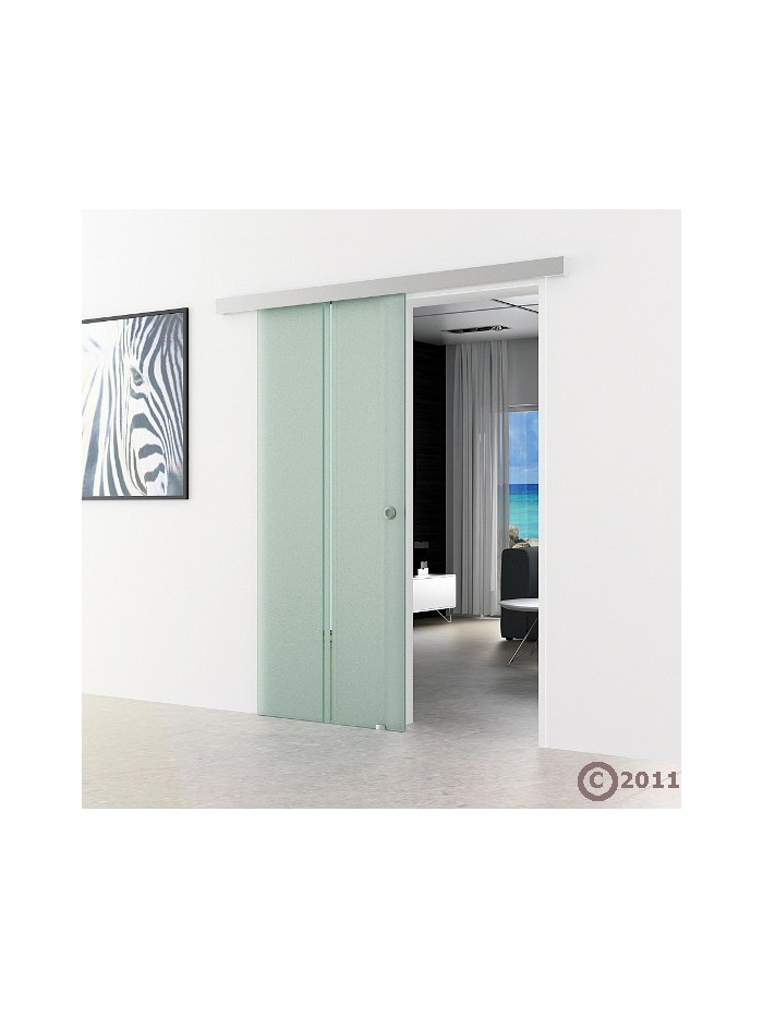 Glasschiebetür 2-Streifen-Design (T) 1025x2050mm Edelstahl - Levidor EasySlide