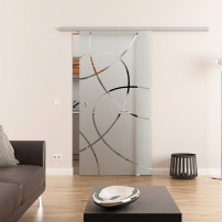 Glasschiebetür komplett 1025 x 2050 mm Dorma Muto 60 Ellipsen-Design (E) 
