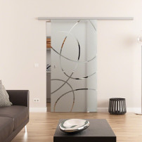 Glasschiebetür komplett 1025 x 2050 mm Dorma Muto 60 Frankfurt-Design (F) 