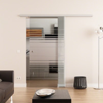 Glasschiebetür komplett 1025 x 2050 mm Dorma Muto 60 Horizont-Design (H) 