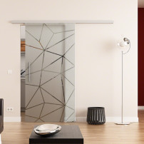 Glasschiebetür komplett 1025 x 2050 mm Dorma Muto 60 Origami-Design (O)