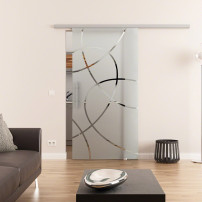 Glasschiebetür komplett 775 x 2175 mm Dorma Muto 60 Ellipsen-Design (E) 