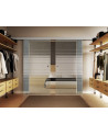 Glasschiebetüren 2 x 900 x 2050mm 2-flügelig Horizont-Design (H)