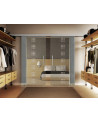 Glasschiebetüren 2 x 900 x 2050mm 2-flügelig Rekursiv-Design (R)