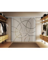 Glasschiebetüren 2 x 525 x 2175 mm 2-flügelig Ellipsen-Design (EF)