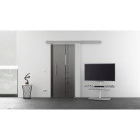 Glasschiebetür 2-Streifen-Design (T) 775x2050mm Edelstahl - Levidor EasySlide