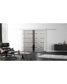 SoftClose Levidor ProfiSlide Schiebetür 2 x 400 x 2050 mm in Streifen-Design (S)